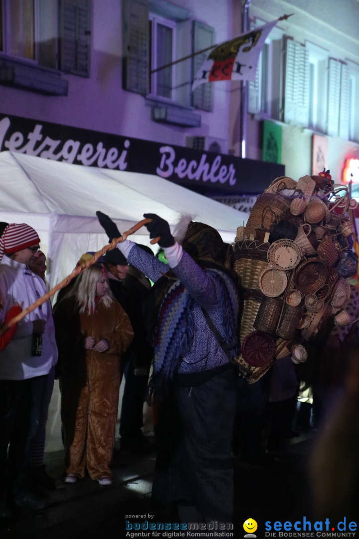 Nachtumzug - 700 JAHRE MORGARTEN: Stockach am Bodensee, 31.01.2015