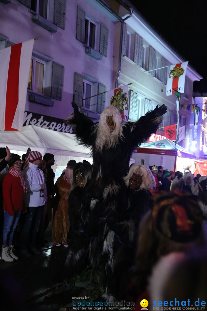 Nachtumzug - 700 JAHRE MORGARTEN: Stockach am Bodensee, 31.01.2015