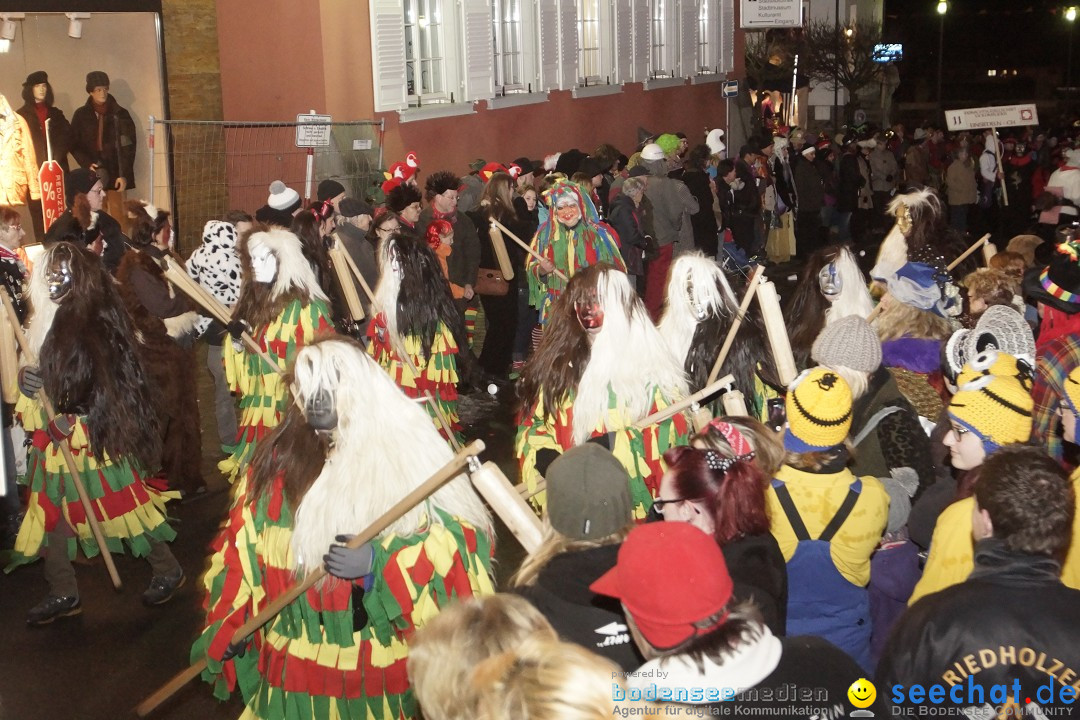 Nachtumzug - 700 JAHRE MORGARTEN: Stockach am Bodensee, 31.01.2015