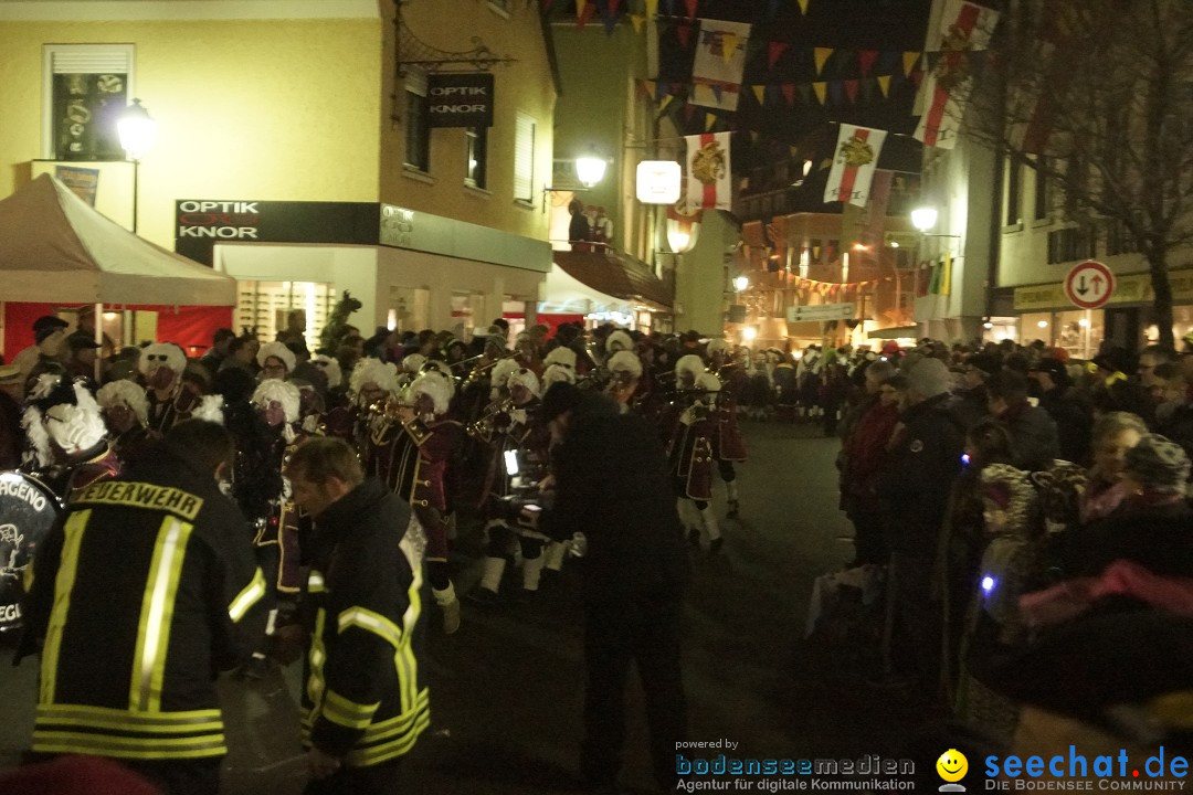 Nachtumzug - 700 JAHRE MORGARTEN: Stockach am Bodensee, 31.01.2015