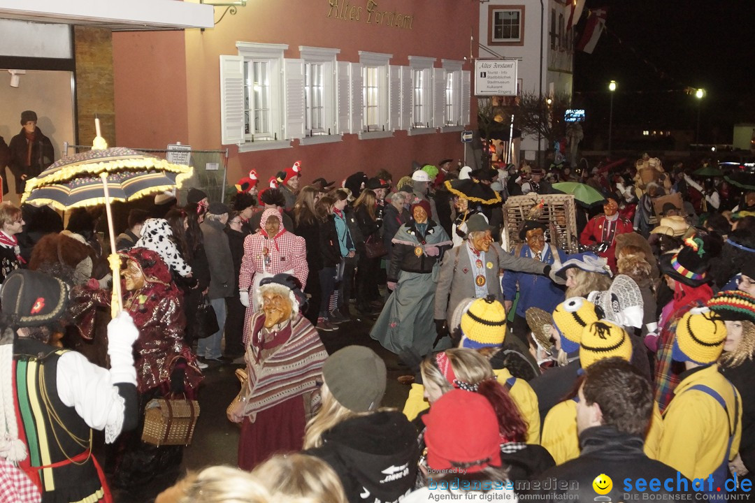 Nachtumzug - 700 JAHRE MORGARTEN: Stockach am Bodensee, 31.01.2015