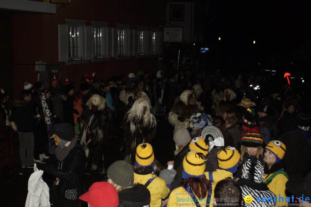 Nachtumzug - 700 JAHRE MORGARTEN: Stockach am Bodensee, 31.01.2015