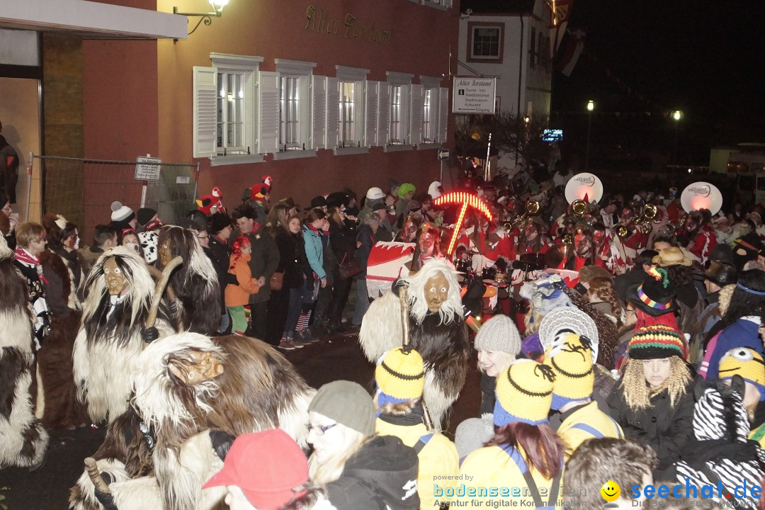 Nachtumzug - 700 JAHRE MORGARTEN: Stockach am Bodensee, 31.01.2015