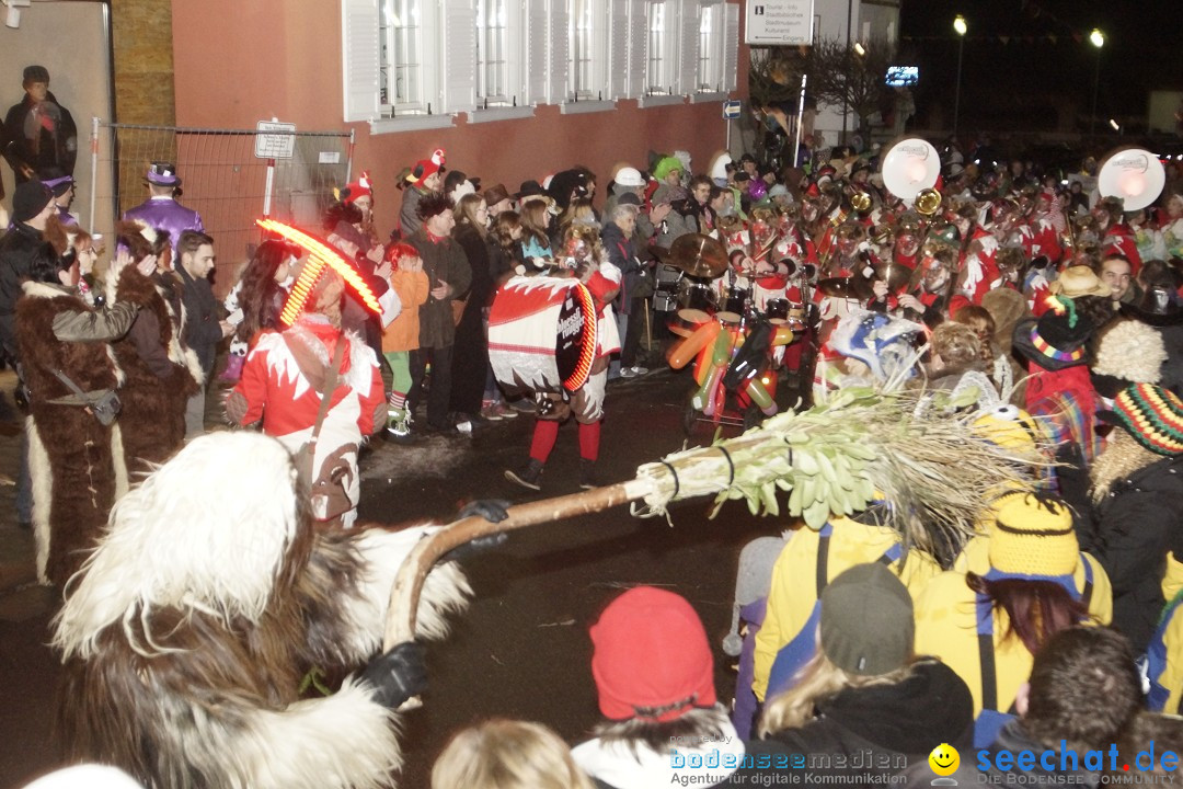 Nachtumzug - 700 JAHRE MORGARTEN: Stockach am Bodensee, 31.01.2015