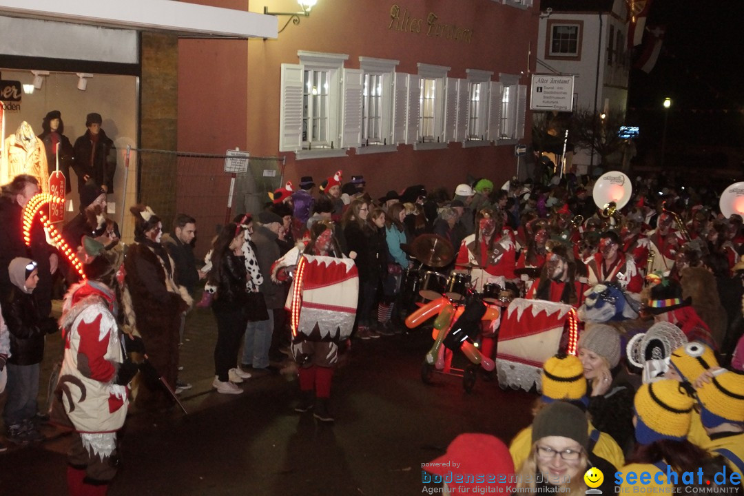 Nachtumzug - 700 JAHRE MORGARTEN: Stockach am Bodensee, 31.01.2015