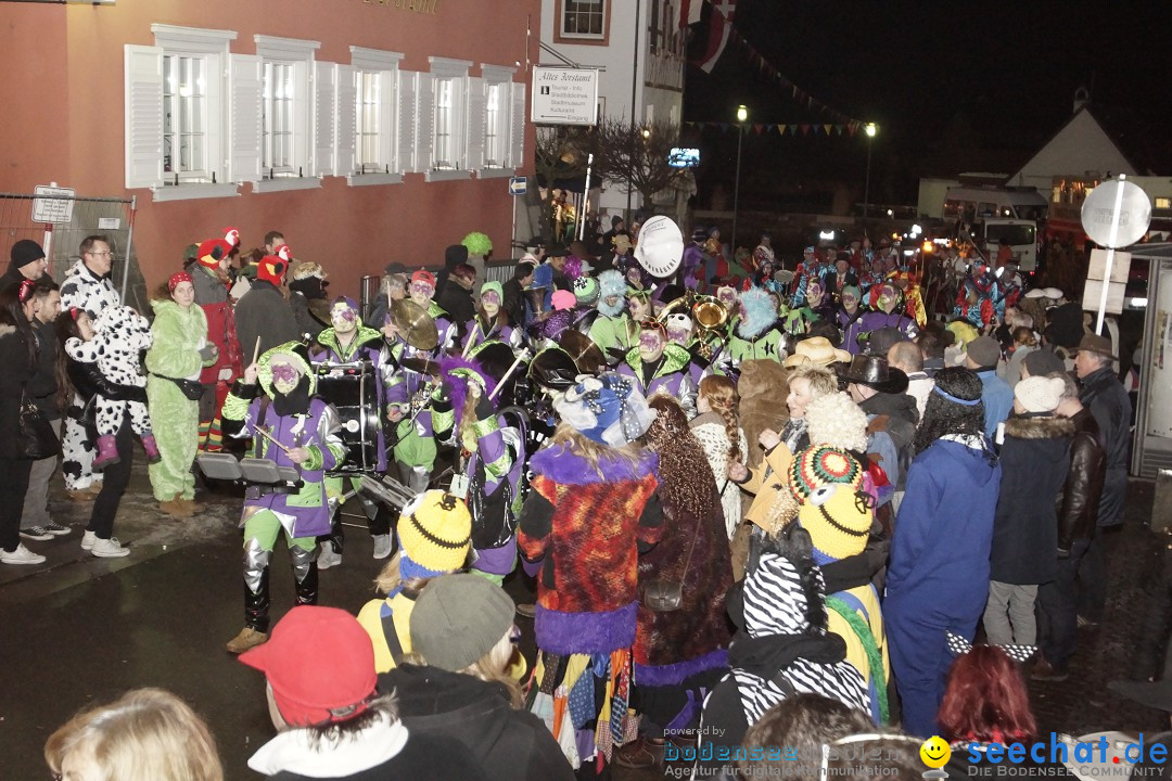 Nachtumzug - 700 JAHRE MORGARTEN: Stockach am Bodensee, 31.01.2015