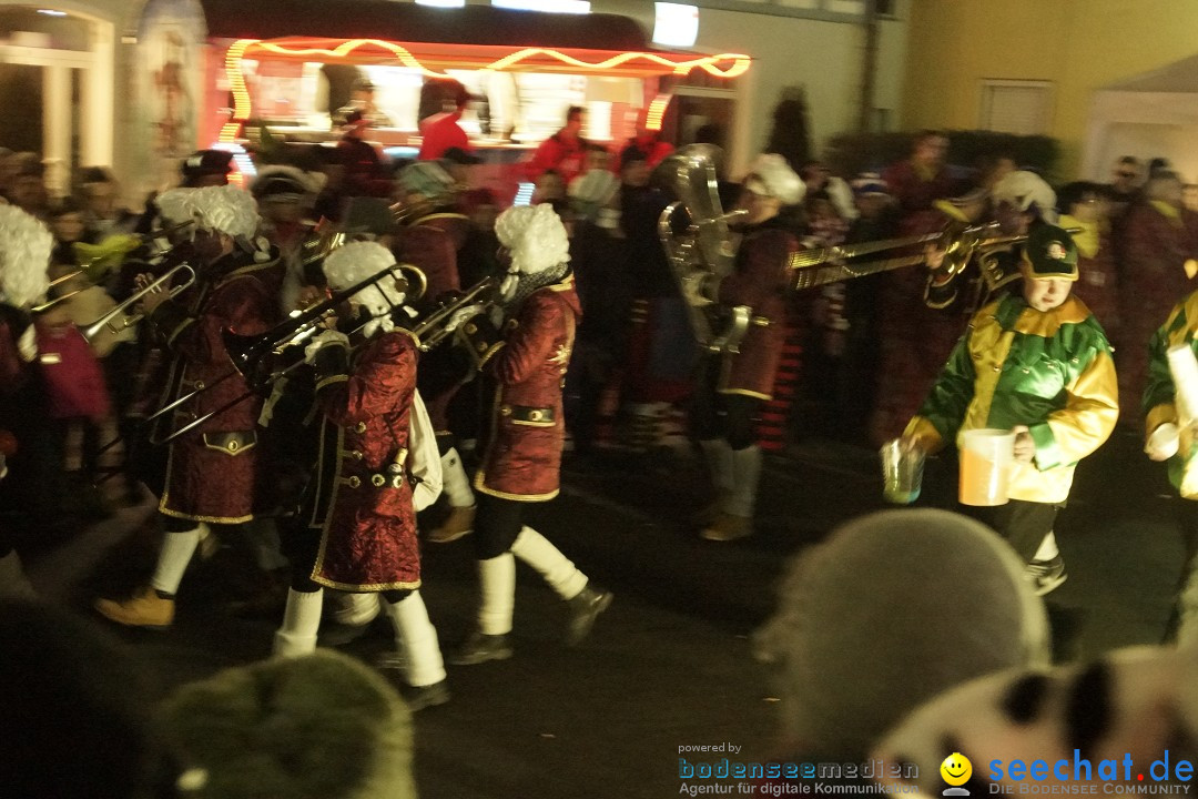 Nachtumzug - 700 JAHRE MORGARTEN: Stockach am Bodensee, 31.01.2015