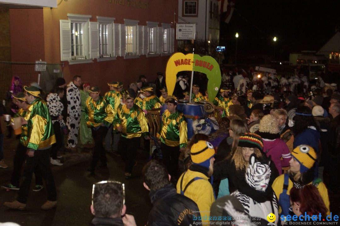 Nachtumzug - 700 JAHRE MORGARTEN: Stockach am Bodensee, 31.01.2015