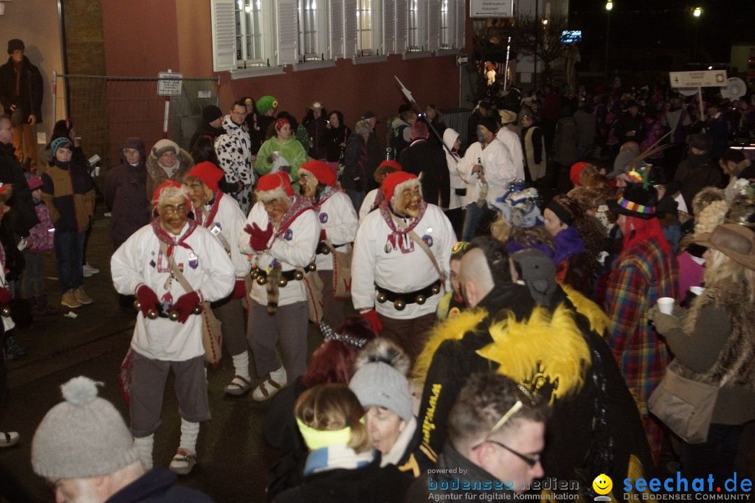 Nachtumzug - 700 JAHRE MORGARTEN: Stockach am Bodensee, 31.01.2015