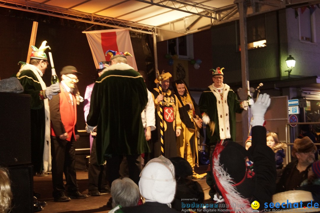 Nachtumzug - 700 JAHRE MORGARTEN: Stockach am Bodensee, 31.01.2015