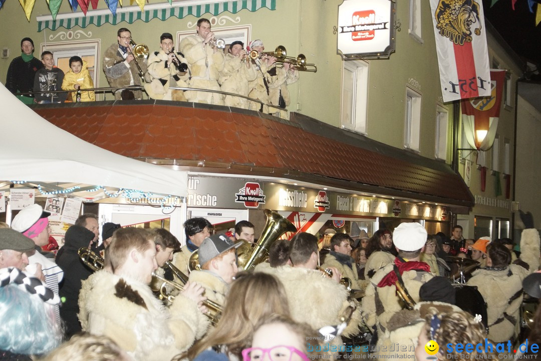 Nachtumzug - 700 JAHRE MORGARTEN: Stockach am Bodensee, 31.01.2015