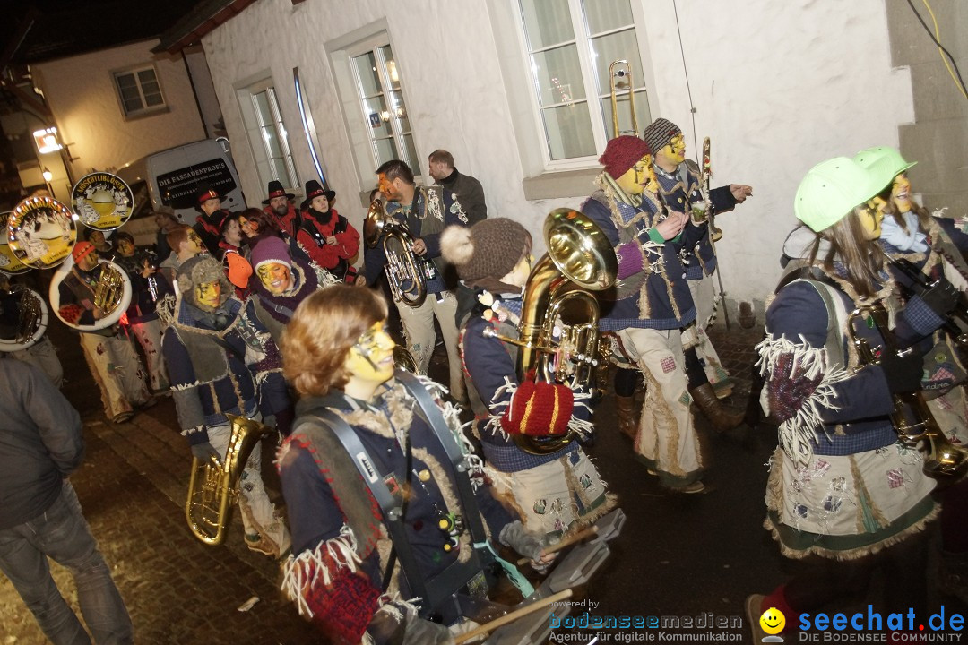 Nachtumzug - 700 JAHRE MORGARTEN: Stockach am Bodensee, 31.01.2015