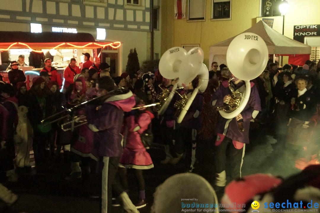 Nachtumzug - 700 JAHRE MORGARTEN: Stockach am Bodensee, 31.01.2015