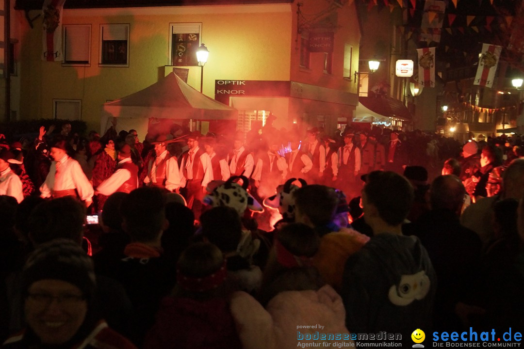 Nachtumzug - 700 JAHRE MORGARTEN: Stockach am Bodensee, 31.01.2015