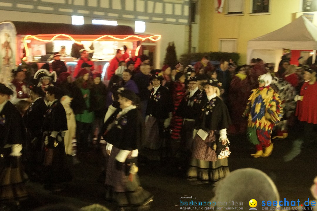 Nachtumzug - 700 JAHRE MORGARTEN: Stockach am Bodensee, 31.01.2015