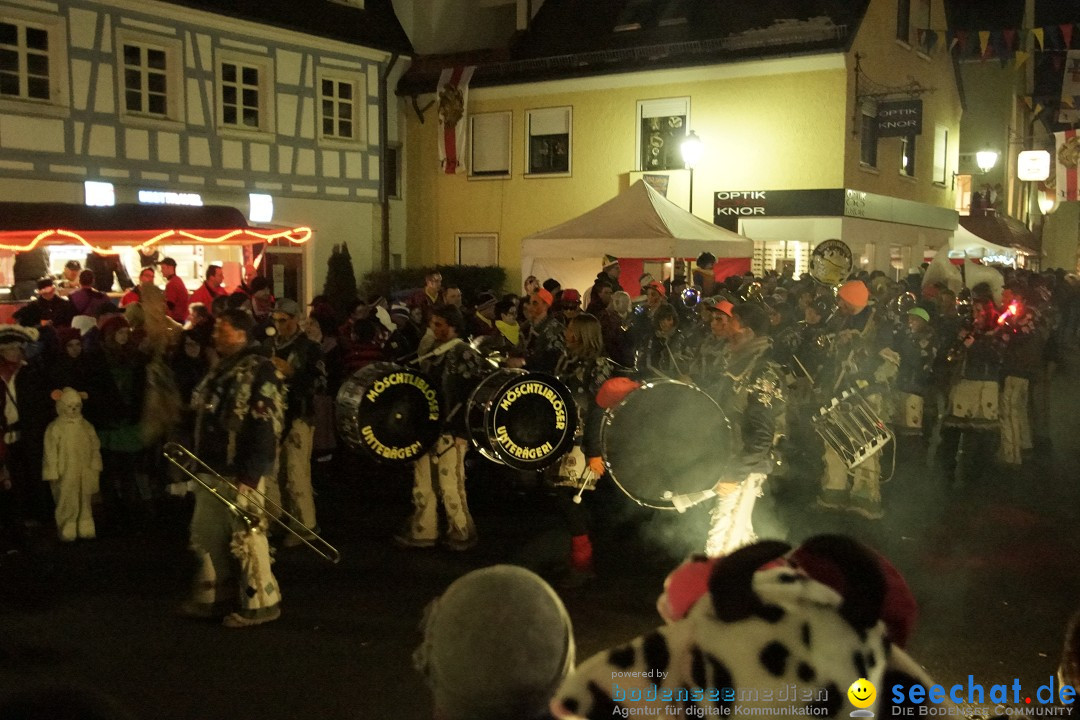 Nachtumzug - 700 JAHRE MORGARTEN: Stockach am Bodensee, 31.01.2015