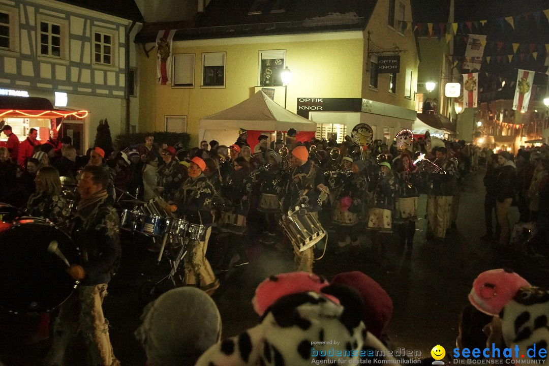 Nachtumzug - 700 JAHRE MORGARTEN: Stockach am Bodensee, 31.01.2015