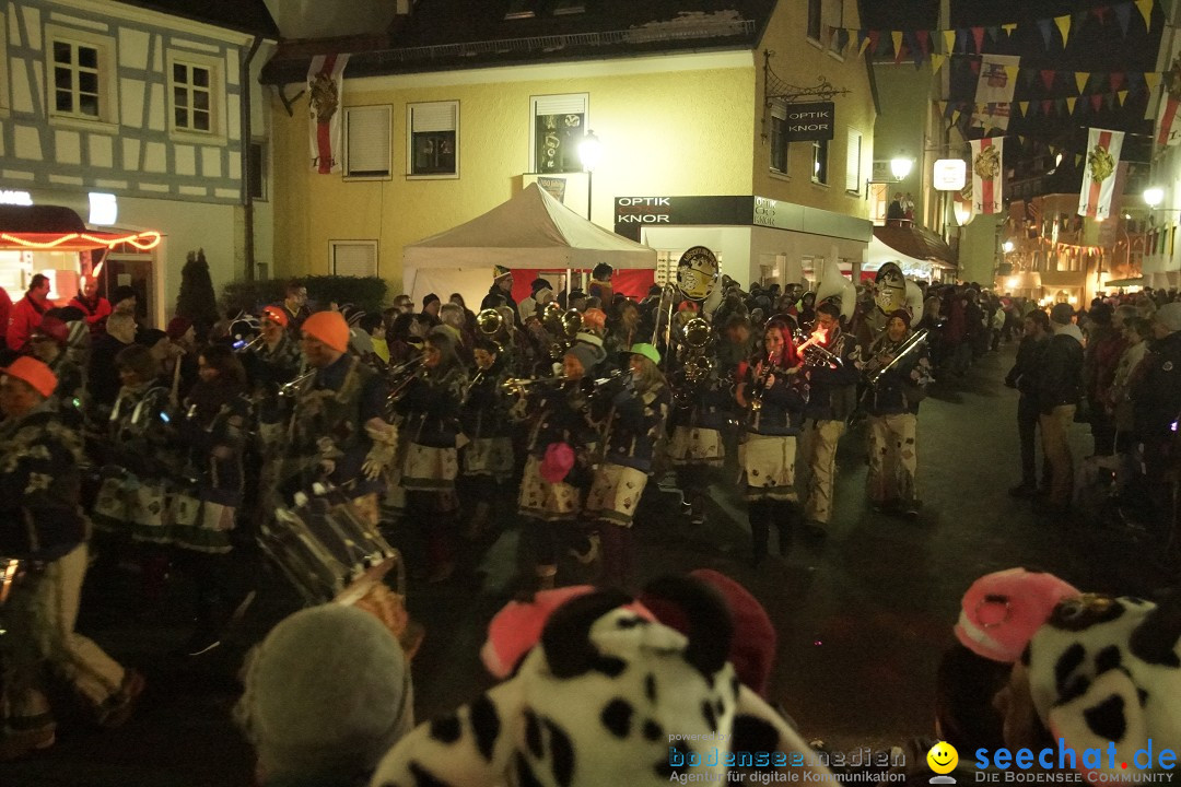 Nachtumzug - 700 JAHRE MORGARTEN: Stockach am Bodensee, 31.01.2015