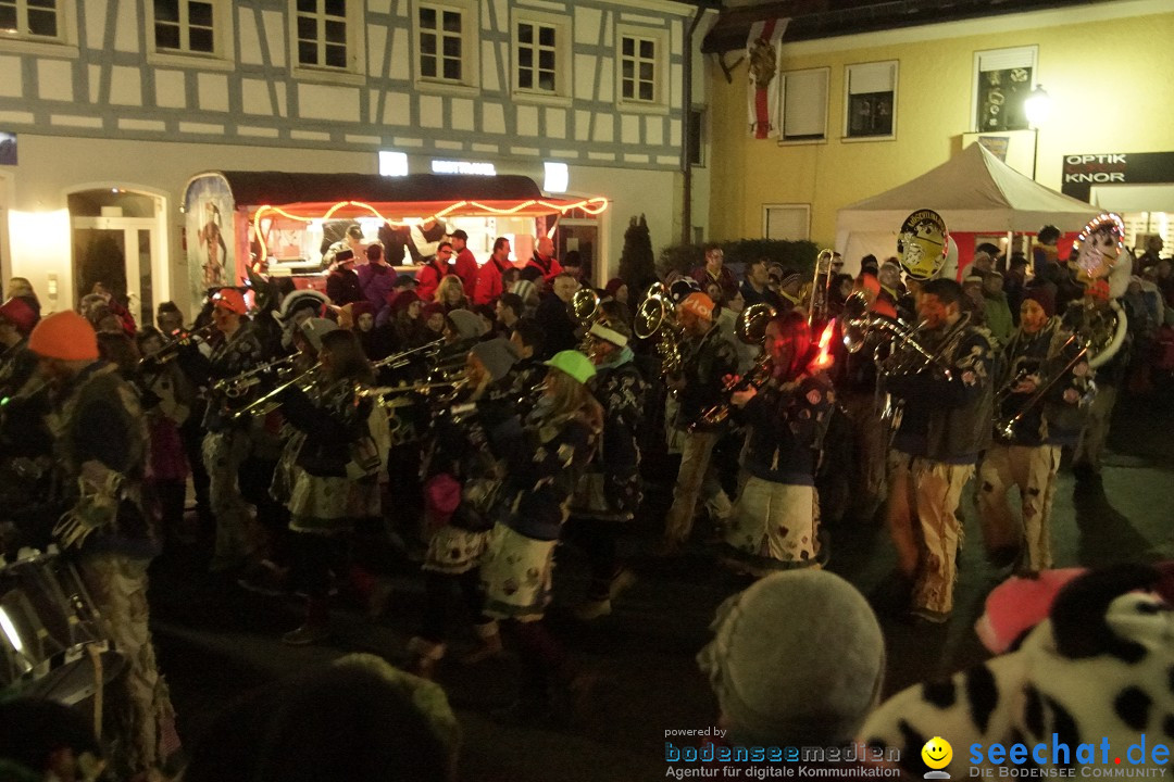 Nachtumzug - 700 JAHRE MORGARTEN: Stockach am Bodensee, 31.01.2015