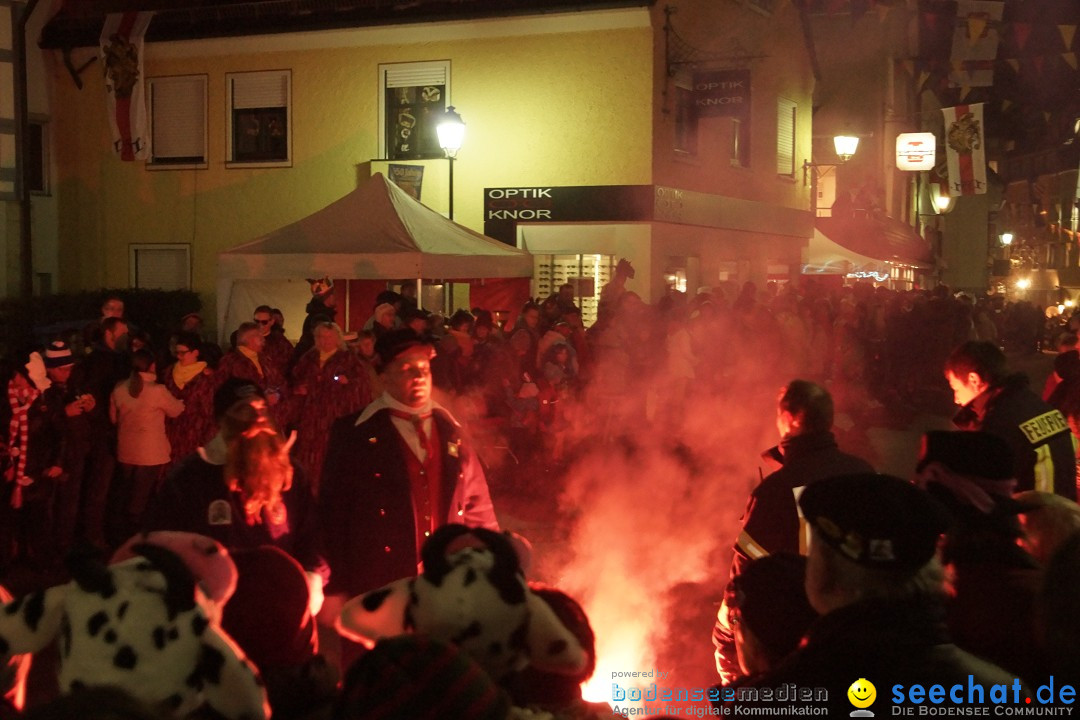 Nachtumzug - 700 JAHRE MORGARTEN: Stockach am Bodensee, 31.01.2015