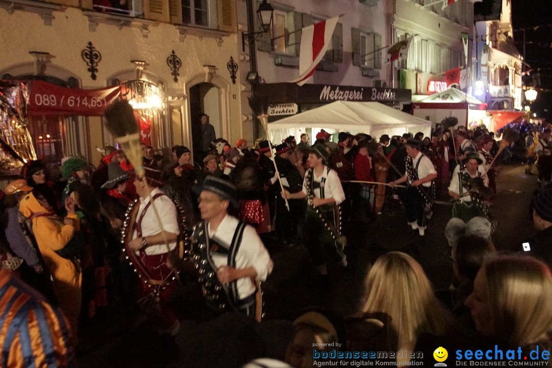 Nachtumzug - 700 JAHRE MORGARTEN: Stockach am Bodensee, 31.01.2015