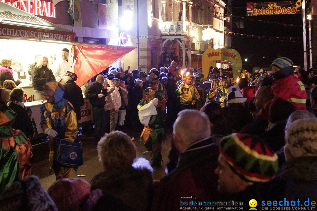 Nachtumzug - 700 JAHRE MORGARTEN: Stockach am Bodensee, 31.01.2015