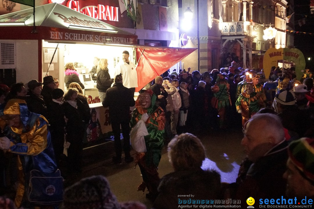 Nachtumzug - 700 JAHRE MORGARTEN: Stockach am Bodensee, 31.01.2015