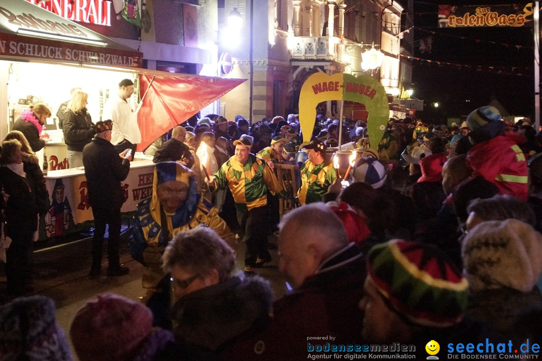 Nachtumzug - 700 JAHRE MORGARTEN: Stockach am Bodensee, 31.01.2015