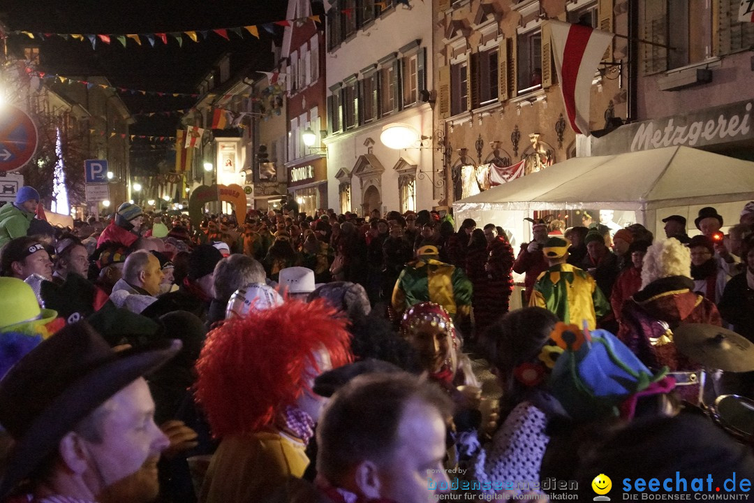 Nachtumzug - 700 JAHRE MORGARTEN: Stockach am Bodensee, 31.01.2015