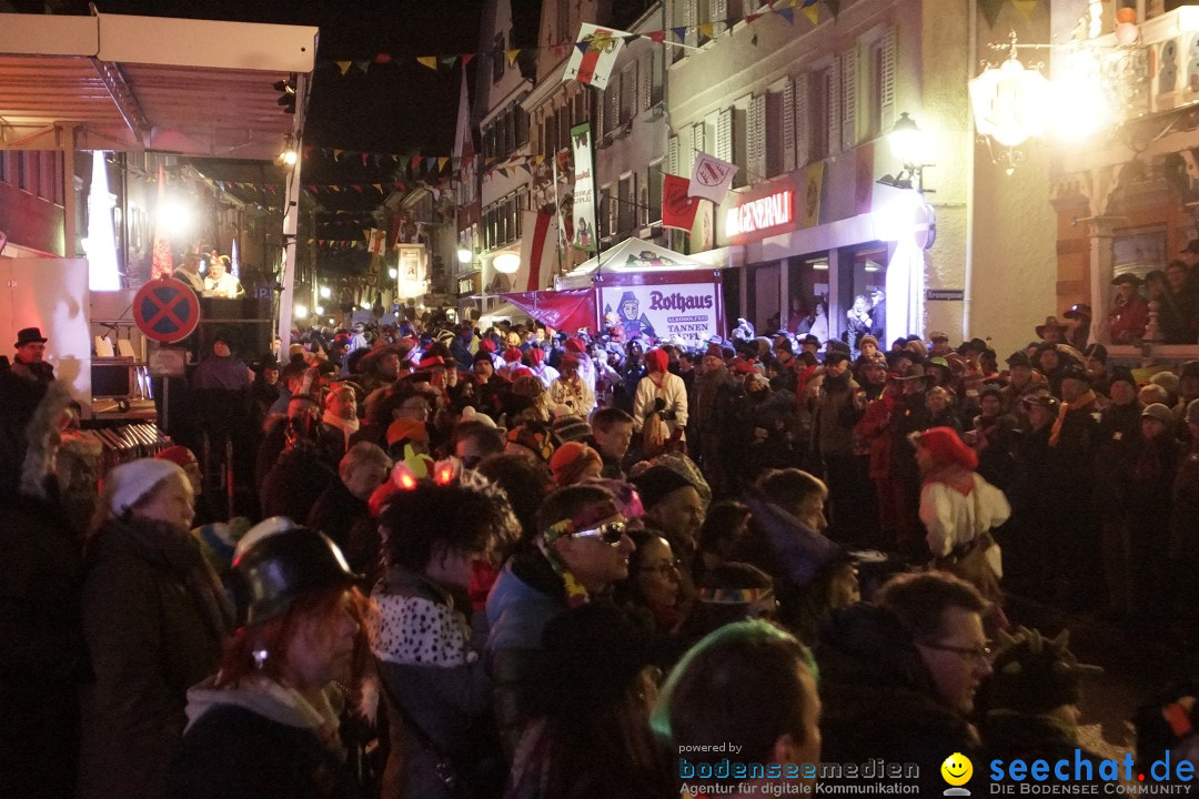 Nachtumzug - 700 JAHRE MORGARTEN: Stockach am Bodensee, 31.01.2015