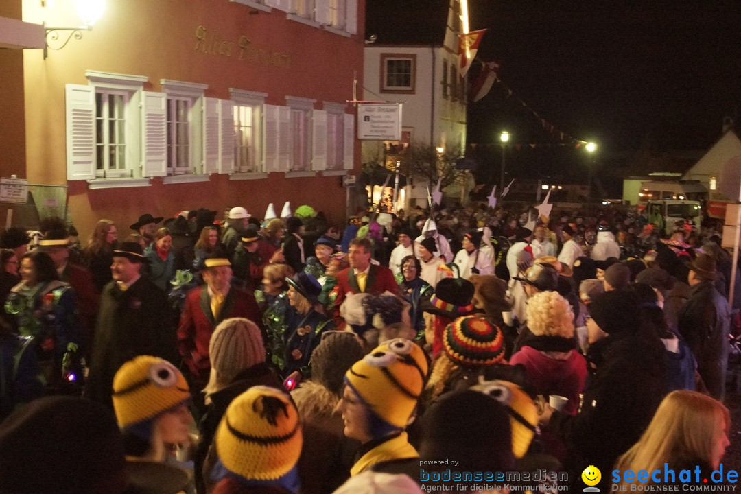 Nachtumzug - 700 JAHRE MORGARTEN: Stockach am Bodensee, 31.01.2015