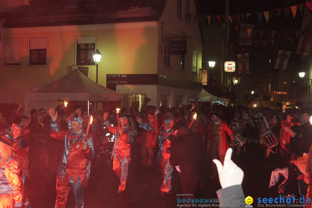 Nachtumzug - 700 JAHRE MORGARTEN: Stockach am Bodensee, 31.01.2015