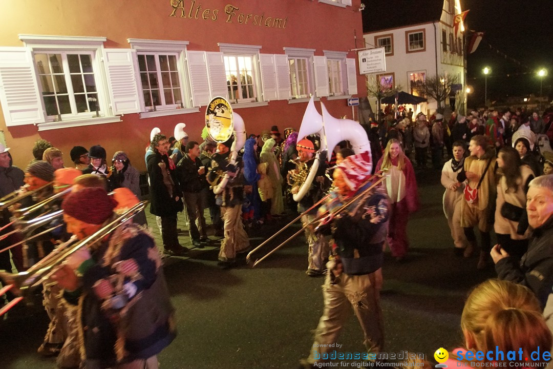 Nachtumzug - 700 JAHRE MORGARTEN: Stockach am Bodensee, 31.01.2015