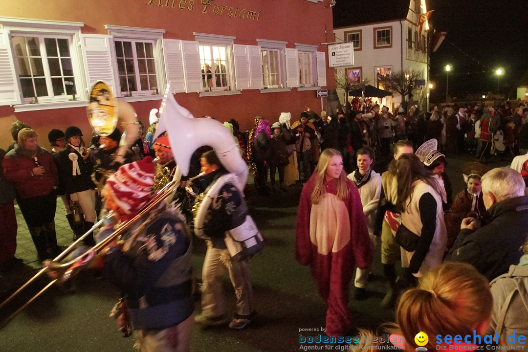 Nachtumzug - 700 JAHRE MORGARTEN: Stockach am Bodensee, 31.01.2015