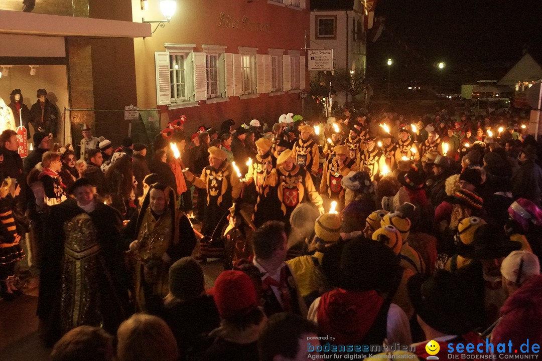 Nachtumzug - 700 JAHRE MORGARTEN: Stockach am Bodensee, 31.01.2015