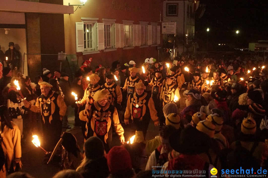 Nachtumzug - 700 JAHRE MORGARTEN: Stockach am Bodensee, 31.01.2015