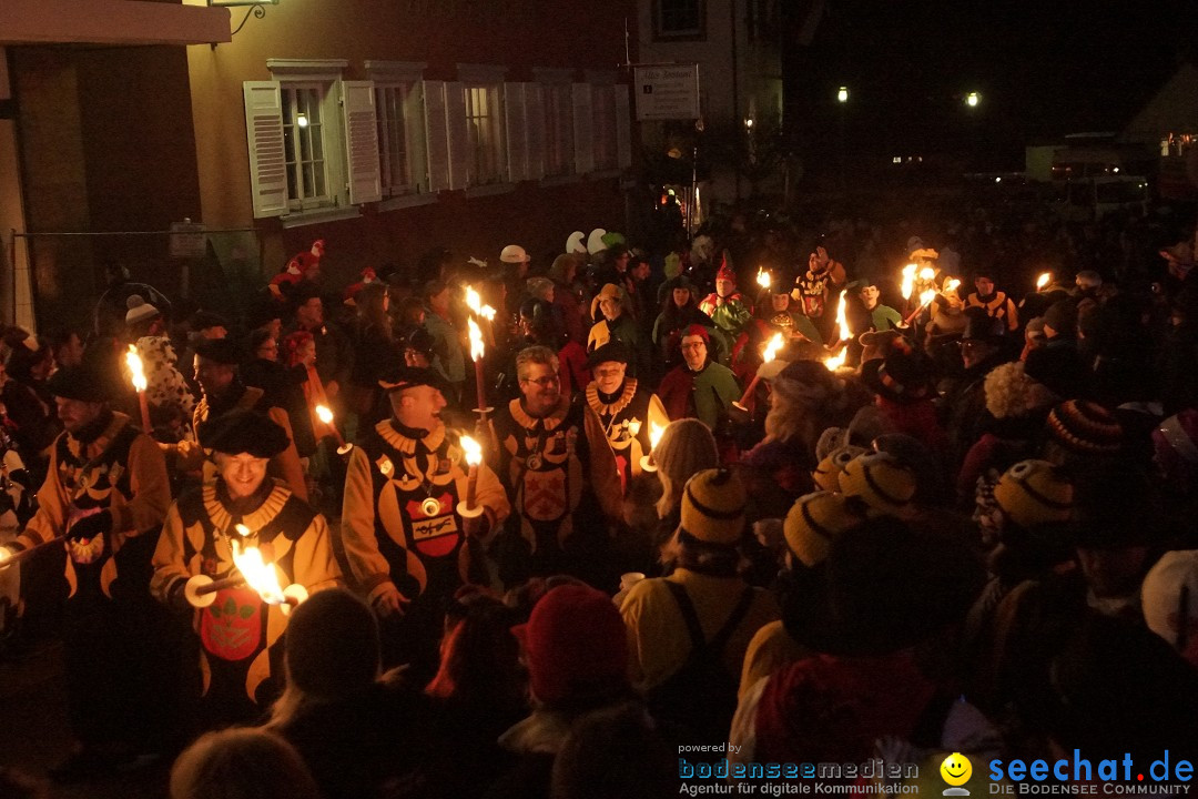 Nachtumzug - 700 JAHRE MORGARTEN: Stockach am Bodensee, 31.01.2015