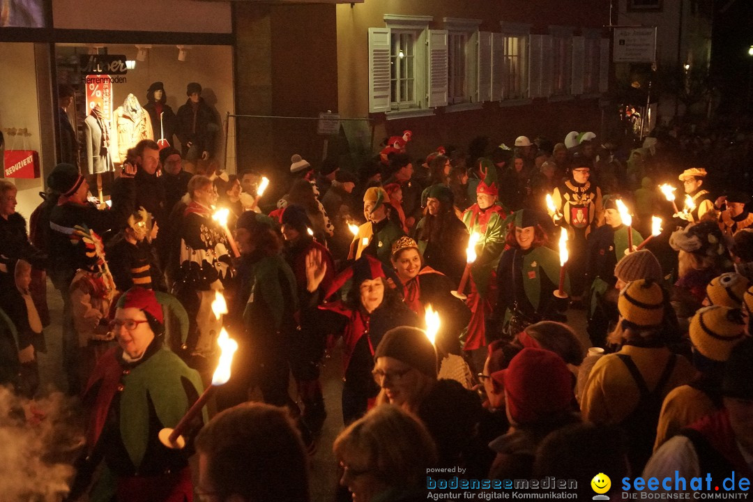 Nachtumzug - 700 JAHRE MORGARTEN: Stockach am Bodensee, 31.01.2015