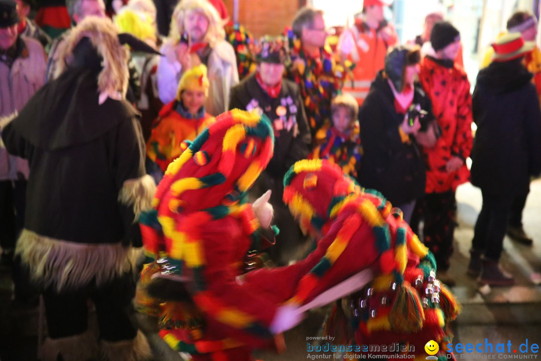 Nachtumzug - 700 JAHRE MORGARTEN: Stockach am Bodensee, 31.01.2015