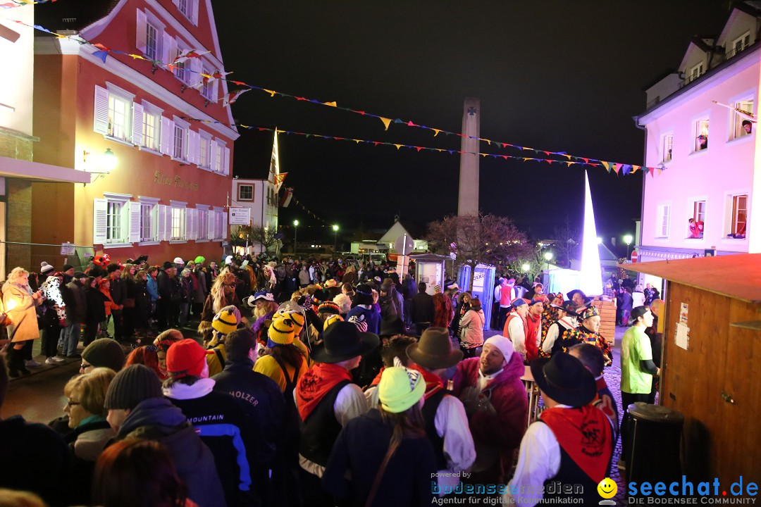 Nachtumzug - 700 JAHRE MORGARTEN: Stockach am Bodensee, 31.01.2015