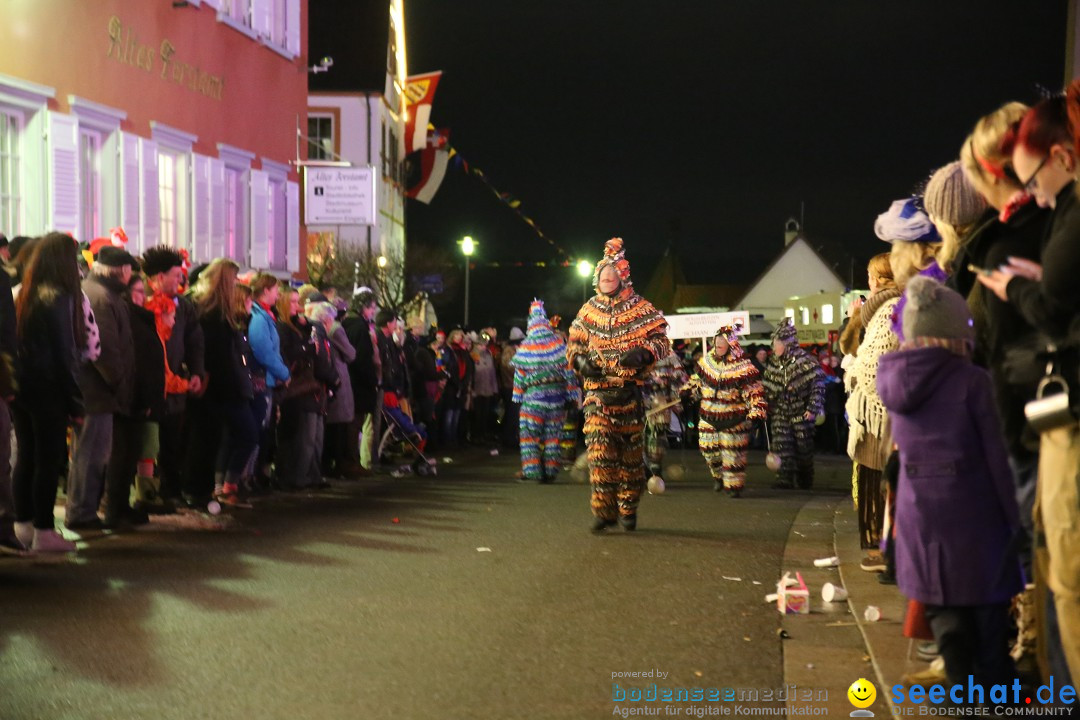 Nachtumzug - 700 JAHRE MORGARTEN: Stockach am Bodensee, 31.01.2015