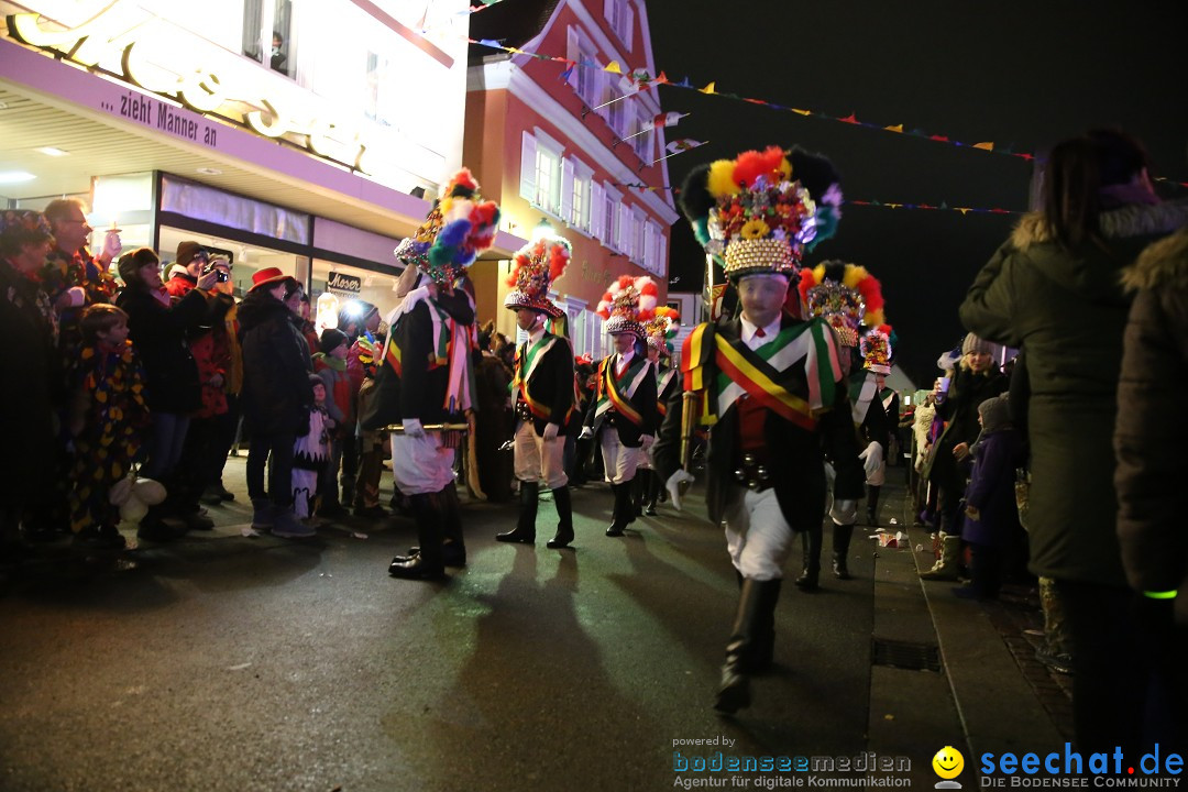 Nachtumzug - 700 JAHRE MORGARTEN: Stockach am Bodensee, 31.01.2015