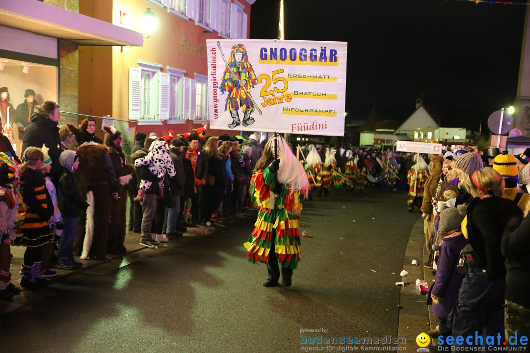 Nachtumzug - 700 JAHRE MORGARTEN: Stockach am Bodensee, 31.01.2015