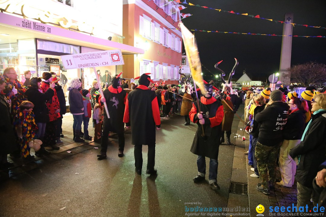 Nachtumzug - 700 JAHRE MORGARTEN: Stockach am Bodensee, 31.01.2015