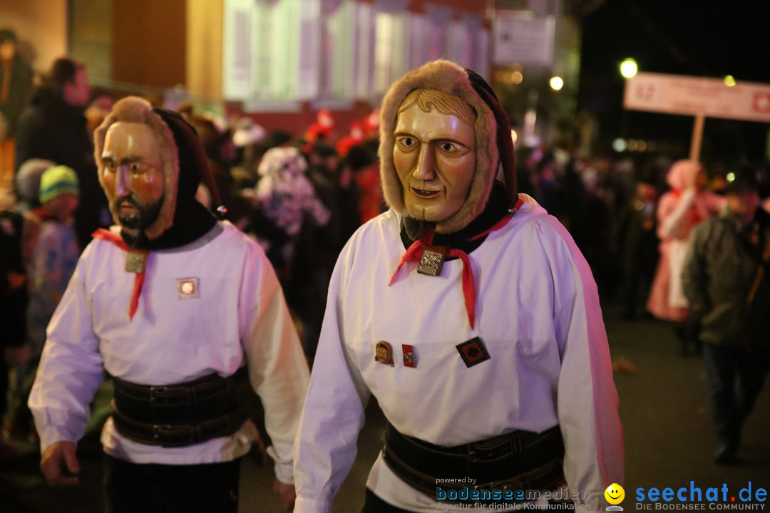 Nachtumzug - 700 JAHRE MORGARTEN: Stockach am Bodensee, 31.01.2015