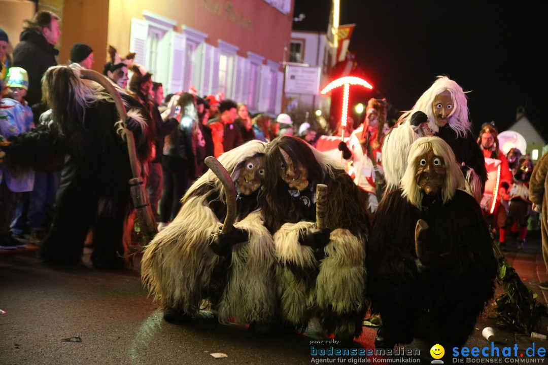 Nachtumzug - 700 JAHRE MORGARTEN: Stockach am Bodensee, 31.01.2015