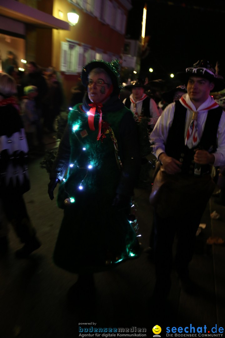 Nachtumzug - 700 JAHRE MORGARTEN: Stockach am Bodensee, 31.01.2015