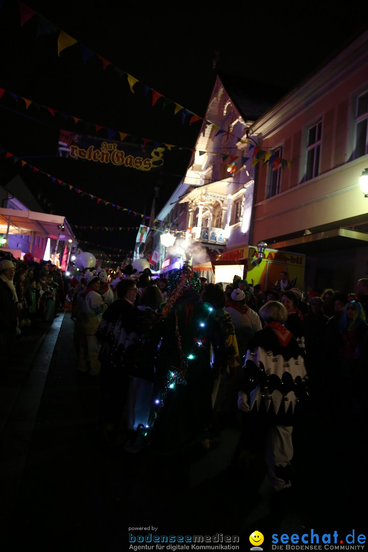 Nachtumzug - 700 JAHRE MORGARTEN: Stockach am Bodensee, 31.01.2015