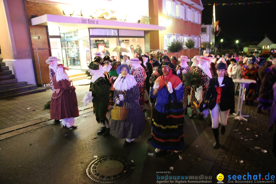 Nachtumzug - 700 JAHRE MORGARTEN: Stockach am Bodensee, 31.01.2015