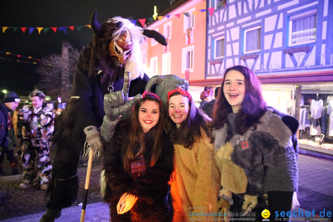 Nachtumzug - 700 JAHRE MORGARTEN: Stockach am Bodensee, 31.01.2015